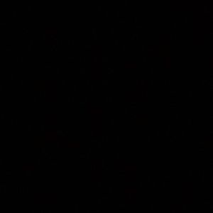 Meet your Posher, Lea